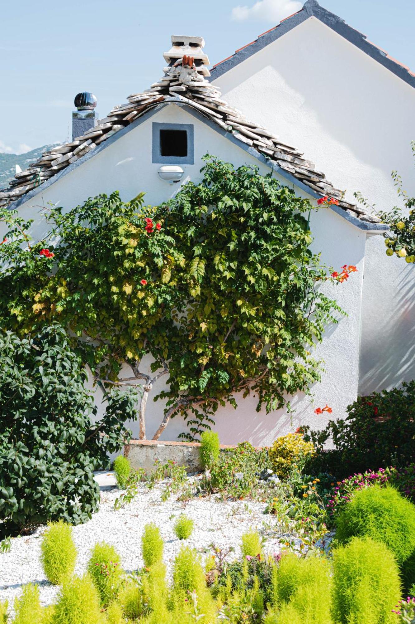 Blizna Donja House Camellia With Fenced Pool And Playgroundヴィラ エクステリア 写真